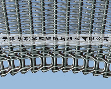 滁州冷冻传送式螺旋网带